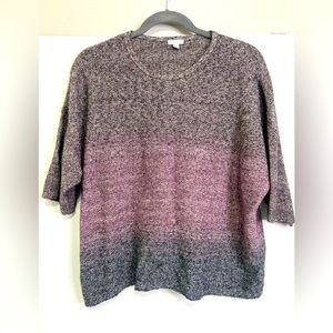 Pure Jill J Jill Ombre Variegated Yarn Oversized Sweater Purple XL Petite Cotton